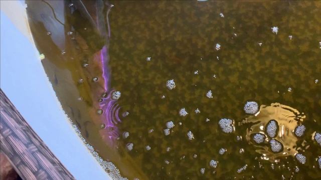 Пруд в гараже.106+360 карпа КОИ+105 стерляди)))) смотреть онлайн