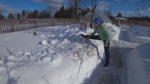 6 соток 20 марта 2021 марта. НАСТ ломает кустарники! Много снега...