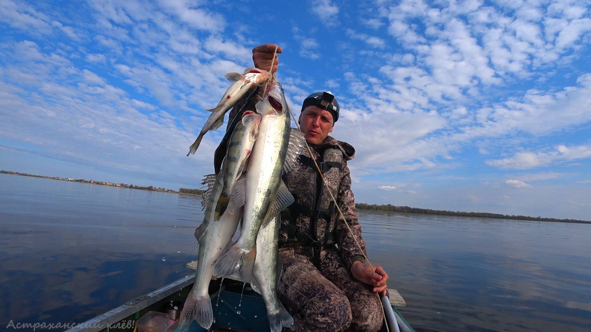 НА ТЮЛЬКУ РЫБА ДУРЕЕТ. ДИКИЙ ЖОР БЕРША. ЛОВИМ СУДАКА на ВОЛГЕ. Рыбалка на спиннинг, джиговая ловля. смотреть онлайн