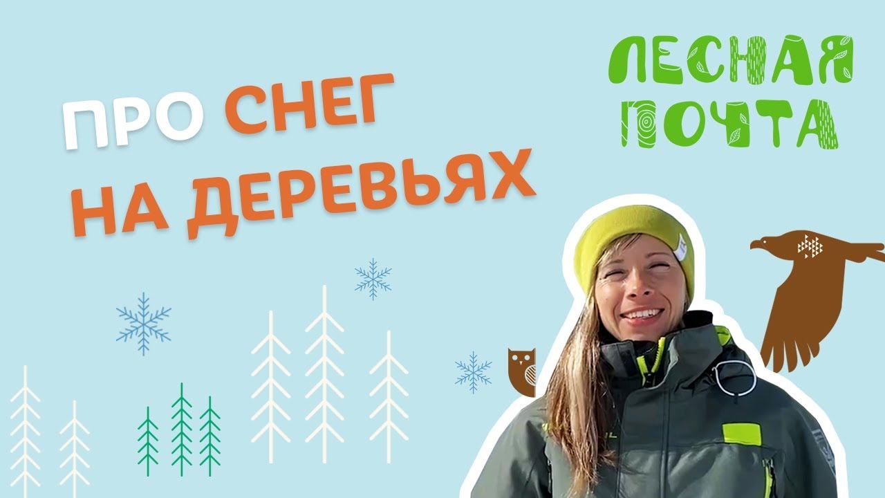 Лесная почта — Деревья под снегом. Мария Каримова смотреть онлайн