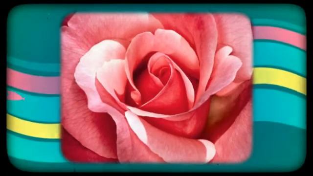 Florist Service in Sleepy Hollow-Call Now (800) 354-7158 смотреть онлайн