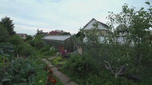 Влог от 05.07.2020