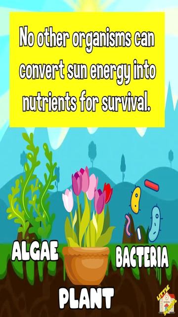 Why is Carbon so important? смотреть онлайн