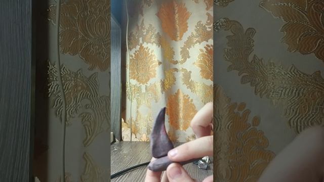 1000007667.mp4бомбордиро крокодило