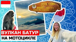 ПОЧЕМУ ВСЕ ТАК ЛЮБЯТ БАЛИ?