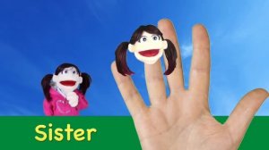 Finger Family Song   Daddy Finger with Matt   Nursery Rhymes   Learn English Kids
