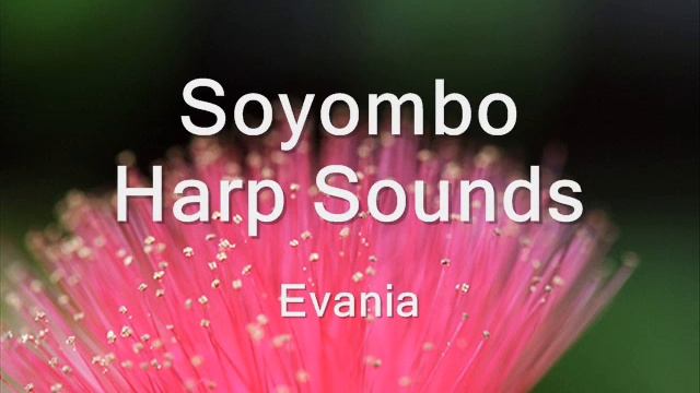 Soyombo - Harp Sounds - Evania смотреть онлайн