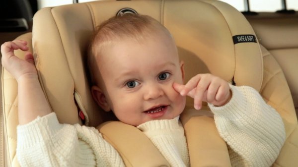 Автокресло Babycare Shelter (0-36кг)