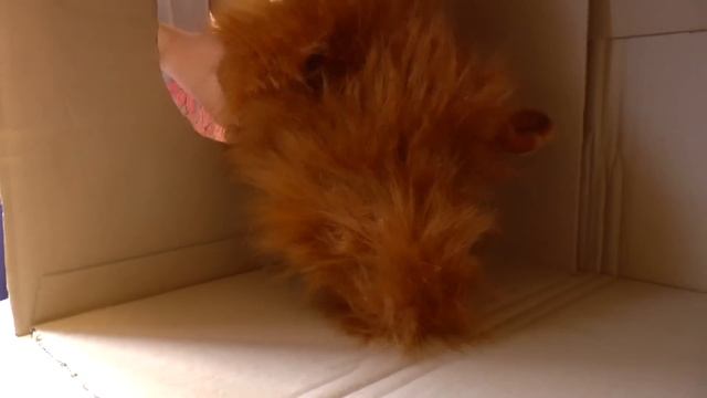 Угадай игрушку - для детей смотреть онлайн