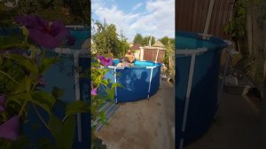 где-то на Югах сибиряки...