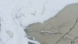 приключения ляли, прилипли к сырому снегу