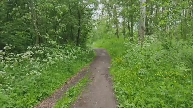 Да прЕбудет с нами сила! Болталочка о русском языке_неортодоксальный русский) (из архива дзена) смотреть онлайн