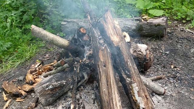 Утренний костер. смотреть онлайн