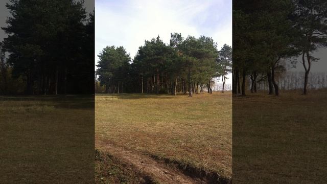 Тамбовская область