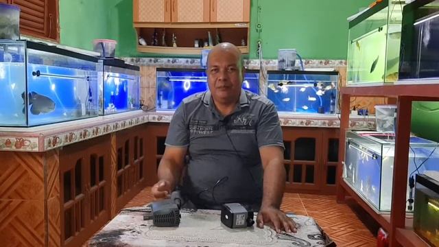 Pompa Celup Aquarium 40 vs 18 Watt Kita Test yuk... смотреть онлайн