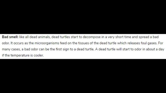 How to Know if Your Turtle Is Dead? смотреть онлайн