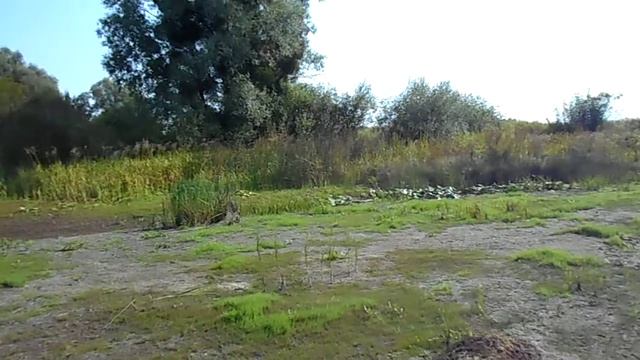 под Келебердой