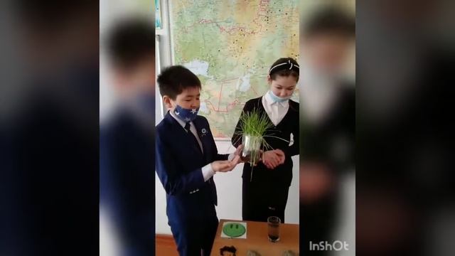 Қазақстанның топырақ түрлері ашық сабақ смотреть онлайн