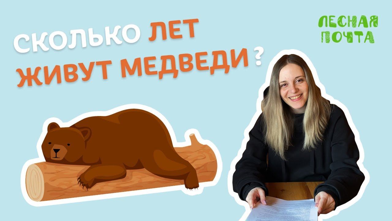 Сколько лет живут медведи? Лесная почта Лапландского заповедника смотреть онлайн