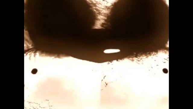 Random Videos Multifandom