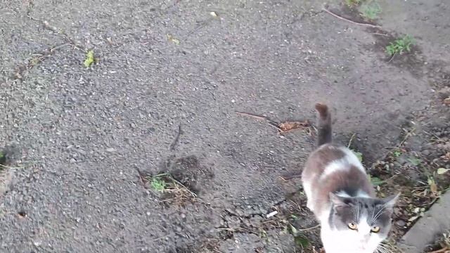 На еду бросаются смотреть онлайн