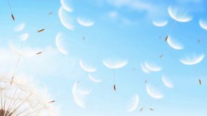 Футаж Одуванчики