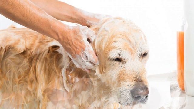 Дом-Стиль-Эко