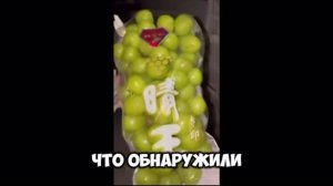 Виноград «Шайн мускат» опасен для здоровья — в 99,9% ягод нашли следы пестицидов