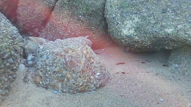 Playa de Serin. Gijón. Asturias. смотреть онлайн