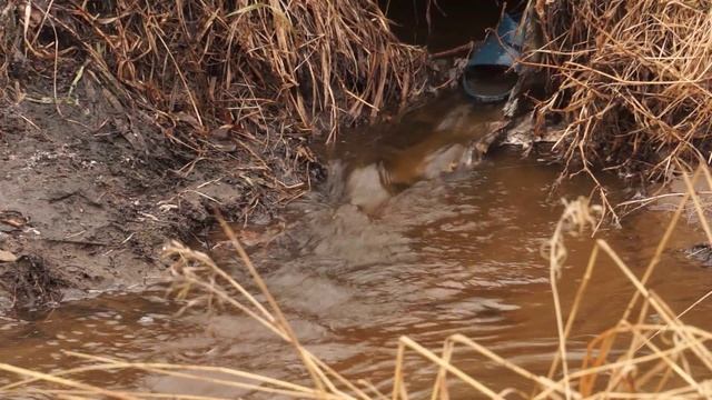 Хроника дня от 09.04. Ливневки Черлак