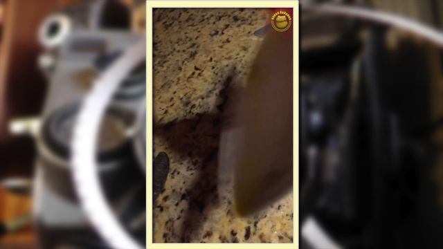 Желейный медведь. Видео со съемок. смотреть онлайн