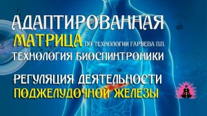 Поджелудочная железа 🎶 программа матрица по технологии Гаряева П.П ☀️ SoftRadio.ru
