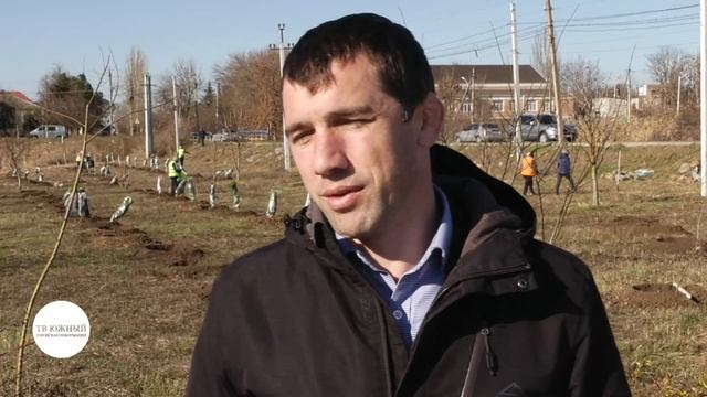 Экоакция: в Сычавке Южненской ОТГ высадили 300 деревьев смотреть онлайн