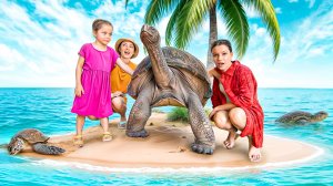 А Вас КУСАЛИ ЧЕРЕПАХИ? / МЫ НАШЛИ ОСТРОВ ГИГАНТСКИХ Черепах / Вики Шоу