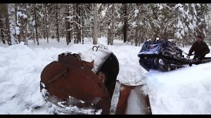 Лесорубы и не догадывались, какой сделали мне ПОДАРОК бросив ее в лесу!