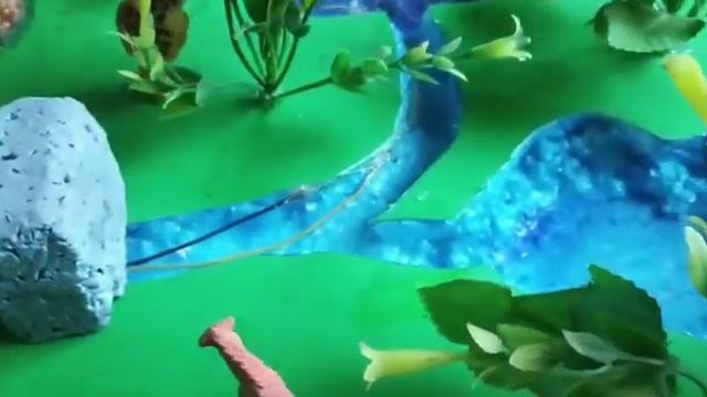 botanical garden modern done by bio student .Mona modern English medium school baramakela #biology смотреть онлайн