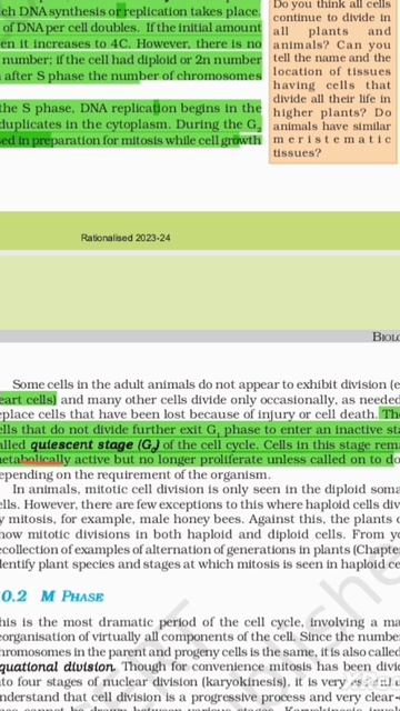 Quiescent Stage Cell Cycle 11th CBSE Biology #neet2023
