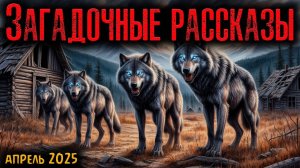 ЗАГАДОЧНЫЕ РАССКАЗЫ | Страшные истории