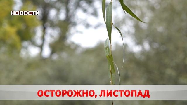 Новости 22 09 21 смотреть онлайн