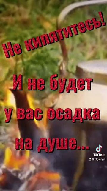 Цитата смотреть онлайн