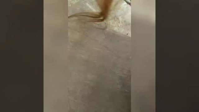 ПРОСТОЙ ФОТОФОН СВОИМИ РУКАМИ НА ДАЧЕ. смотреть онлайн