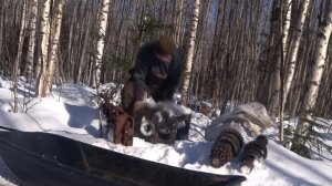 Находка в лесу! КПП от древнего треллевощника.