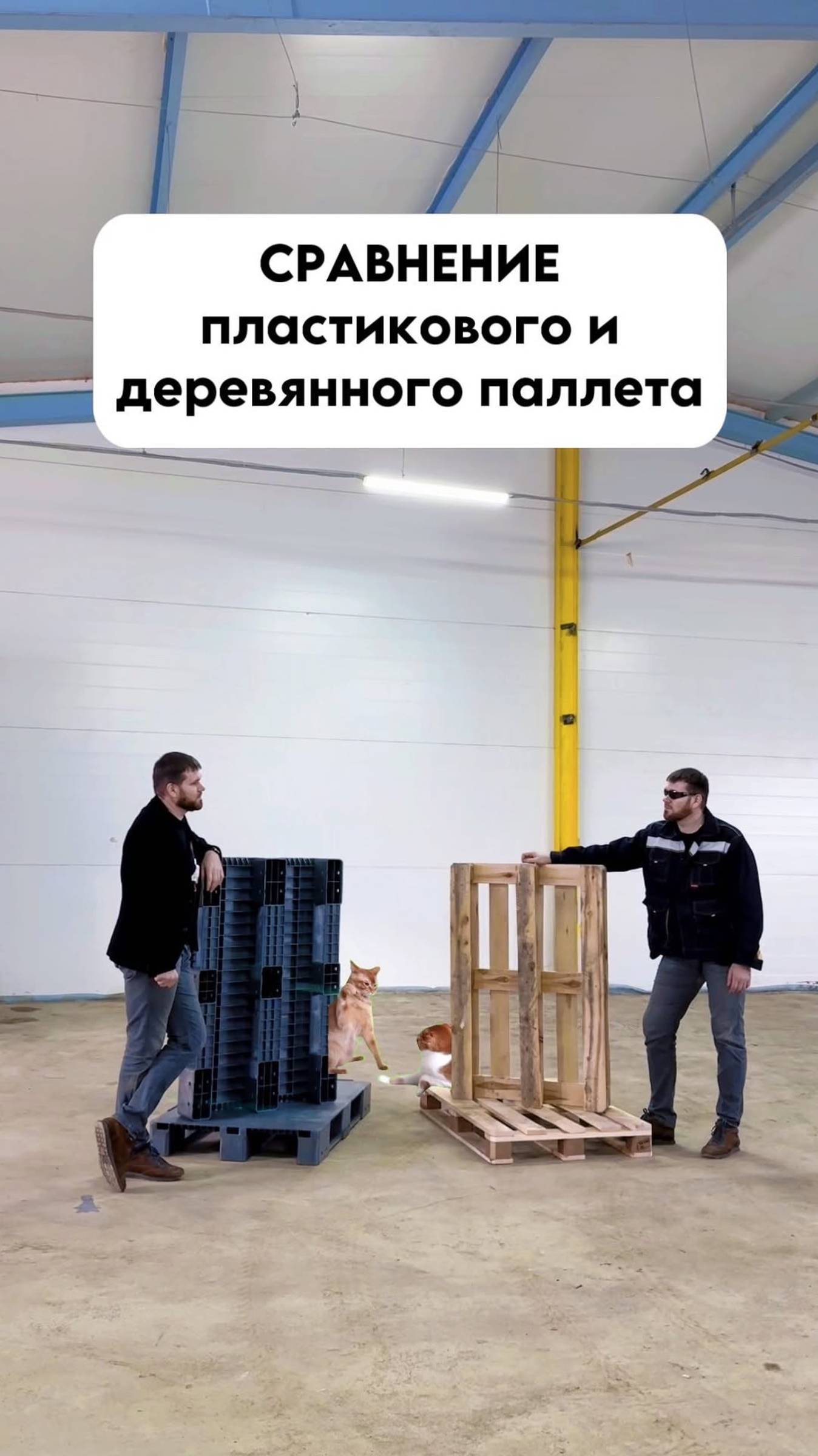 Деревянные VS пластиковые паллеты. Так что же побеждает?🫣🔹