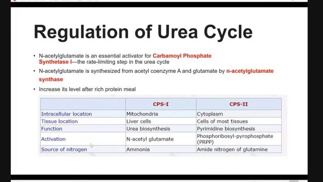 biochemistry Nitrogen metabolism lec3 dr. nazar haddad смотреть онлайн