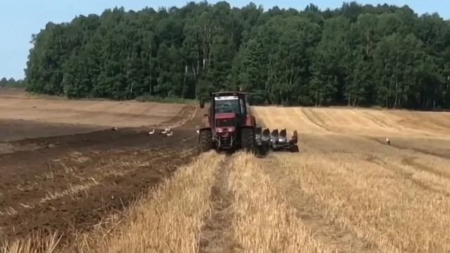 2020 смотреть онлайн