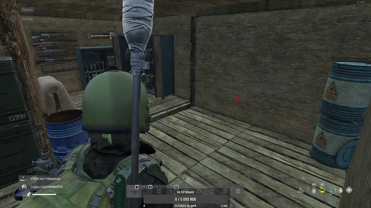 Выживаем в Dayz на карте Livonia