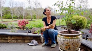 Как Сажать Голубику 🤓 | Распаковка | Важный Подарок Для Мужа | Семейный Влог | Эгине | Heghineh