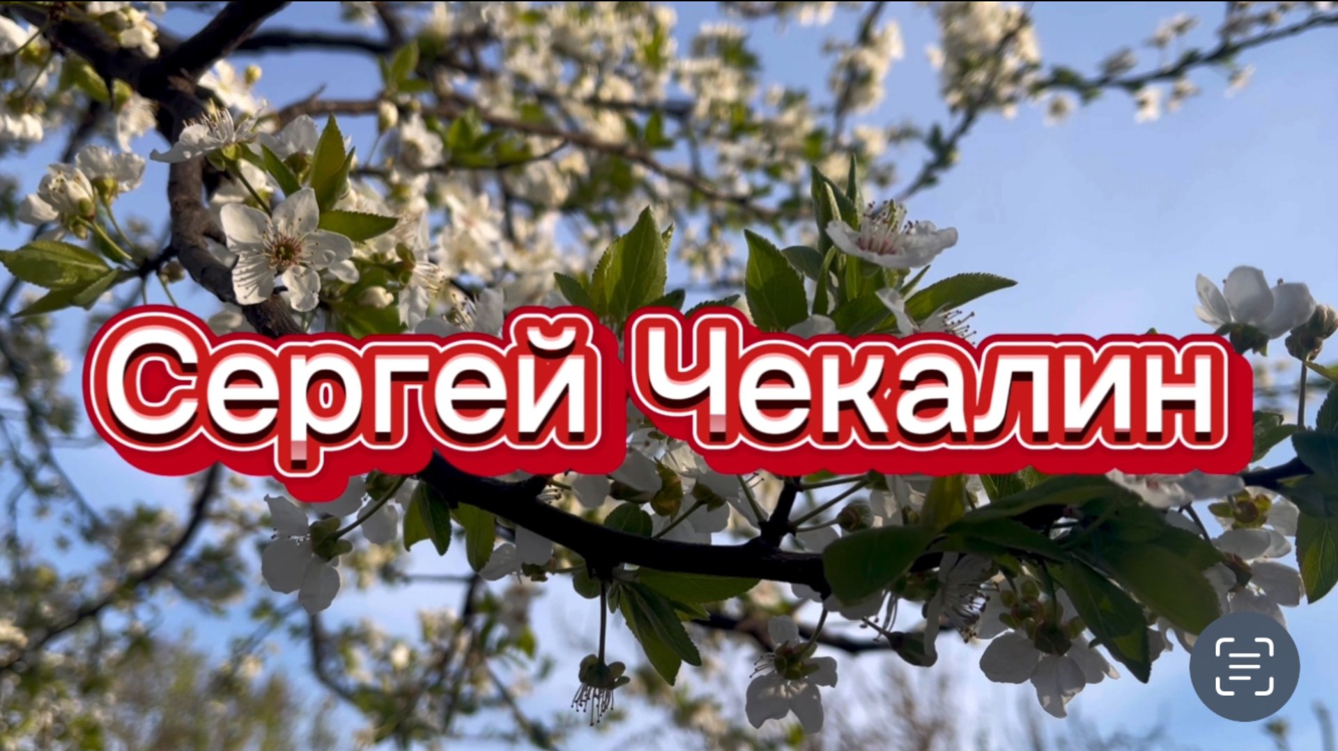 Сергей Чекалин, За далью даль. Музыка для души