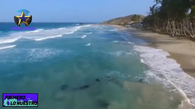 Isla De Margarita | La Perla Del Caribe | Con Lo Nuestro