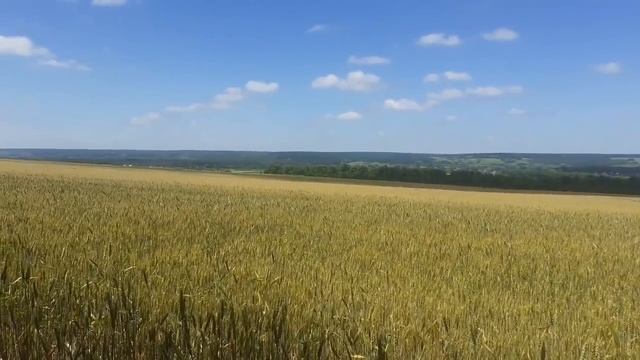 Сбрасывая свою карму на кого-то, открывается доступ на сброс на нас. 24.06.20. смотреть онлайн
